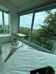 Fifty-Two Stevens (D10), Apartment #560344981